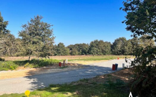 Très grand terrain viabilisé à bâtir – Environnement arboré, emplacement unique et résidentiel