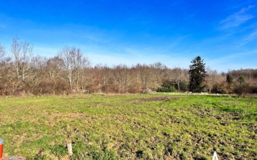Très grand terrain viabilisé à bâtir – Environnement arboré, emplacement unique et résidentiel