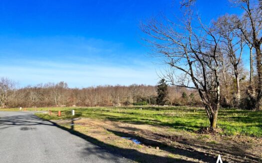 Très grand terrain viabilisé à bâtir – Environnement arboré, emplacement unique et résidentiel